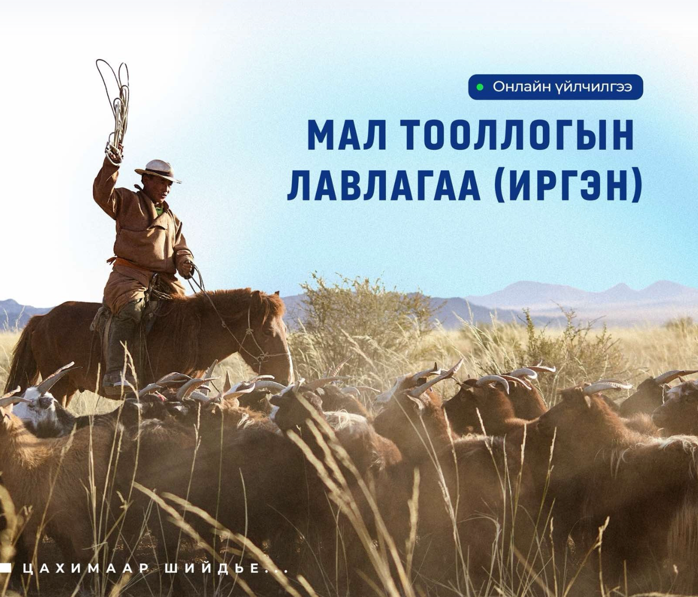 Мал тооллогын лавлагааг И-Монголиа цахим системээс авах заавар